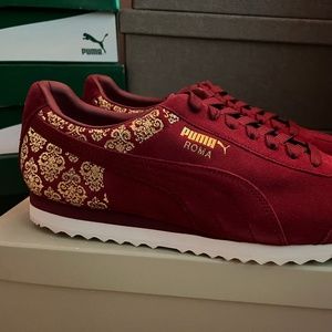 puma roma venezia
